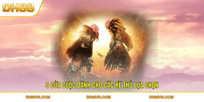 3 cửa cược dành cho các kê thủ lựa chọn