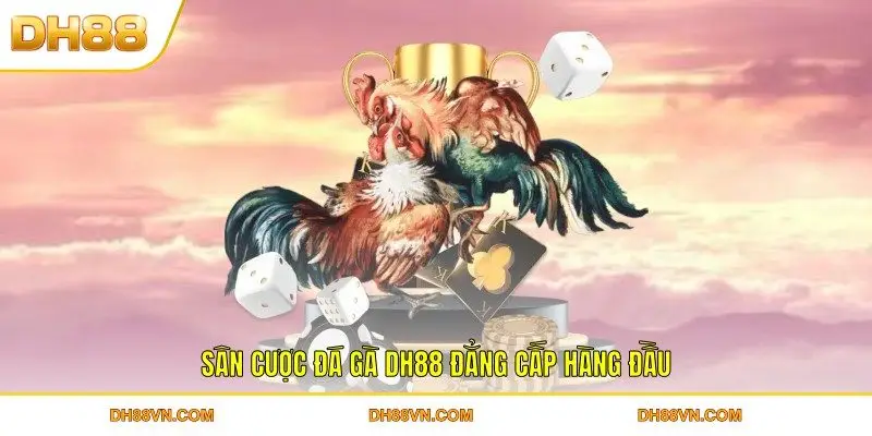 Sân cược đá gà DH88 đẳng cấp hàng đầu